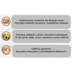 Bunny Dwarf Hamster Dream EXPERT 500g karma dla chomików - dżungarskiego, roborowskiego, chińskiego i campbella